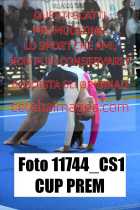 11744_CS1-CUP-PREM