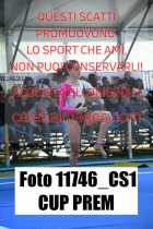 11746_CS1-CUP-PREM