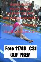 11748_CS1-CUP-PREM