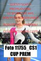 11755_CS1-CUP-PREM