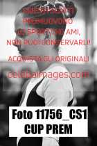 11756_CS1-CUP-PREM