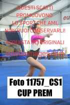 11757_CS1-CUP-PREM