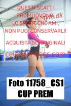 11758_CS1-CUP-PREM