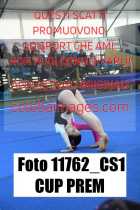 11762_CS1-CUP-PREM