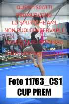 11763_CS1-CUP-PREM