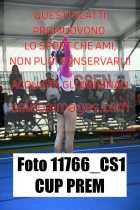 11766_CS1-CUP-PREM