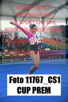11767_CS1-CUP-PREM