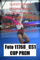 11768_CS1-CUP-PREM