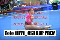 11771_CS1-CUP-PREM