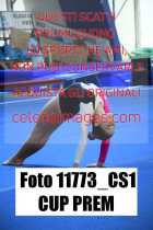 11773_CS1-CUP-PREM