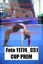 11774_CS1-CUP-PREM