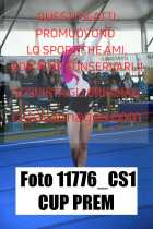 11776_CS1-CUP-PREM