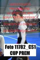 11782_CS1-CUP-PREM