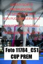 11784_CS1-CUP-PREM