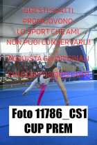 11786_CS1-CUP-PREM