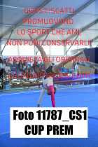11787_CS1-CUP-PREM