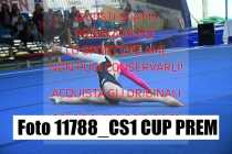 11788_CS1-CUP-PREM