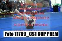 11789_CS1-CUP-PREM