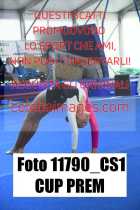 11790_CS1-CUP-PREM