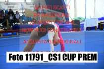 11791_CS1-CUP-PREM