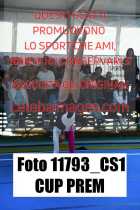 11793_CS1-CUP-PREM