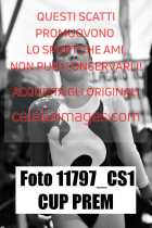 11797_CS1-CUP-PREM