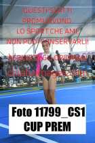 11799_CS1-CUP-PREM