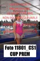 11801_CS1-CUP-PREM