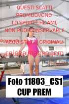 11803_CS1-CUP-PREM