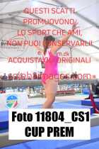11804_CS1-CUP-PREM