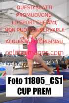 11805_CS1-CUP-PREM