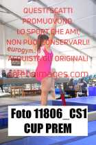 11806_CS1-CUP-PREM