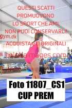 11807_CS1-CUP-PREM