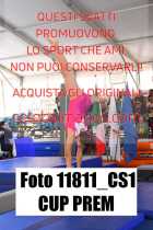 11811_CS1-CUP-PREM