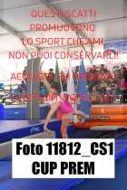11812_CS1-CUP-PREM