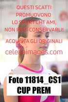 11814_CS1-CUP-PREM