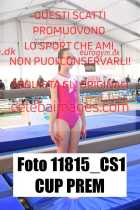 11815_CS1-CUP-PREM
