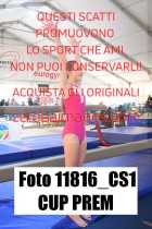 11816_CS1-CUP-PREM