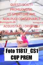 11817_CS1-CUP-PREM