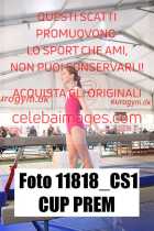 11818_CS1-CUP-PREM
