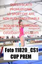 11820_CS1-CUP-PREM