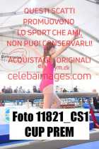 11821_CS1-CUP-PREM