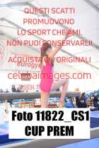11822_CS1-CUP-PREM