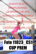 11823_CS1-CUP-PREM
