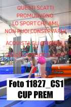 11827_CS1-CUP-PREM