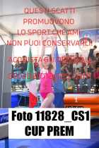 11828_CS1-CUP-PREM