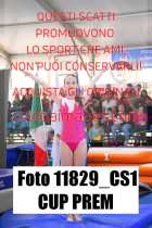 11829_CS1-CUP-PREM