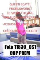 11830_CS1-CUP-PREM