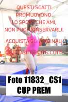 11832_CS1-CUP-PREM