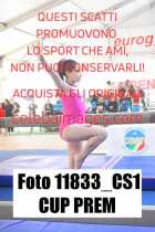 11833_CS1-CUP-PREM
